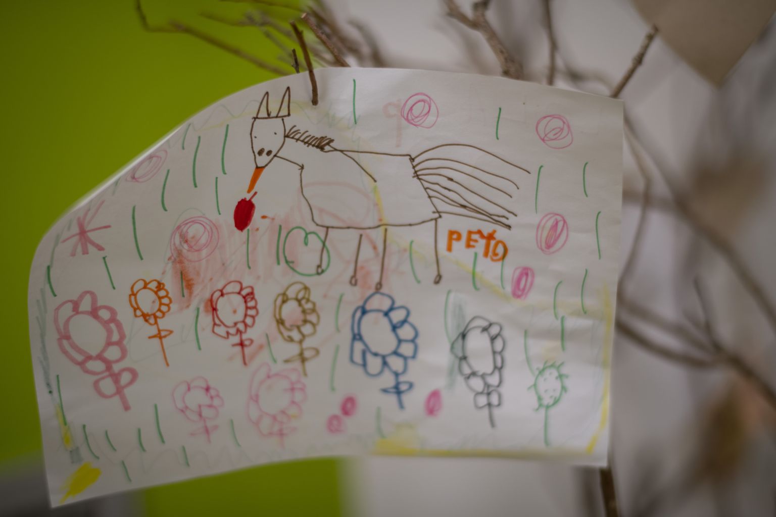 À côté de corbeilles de fruits et de pain réservées au cheval, on peut voir dans les couloirs de l’unité de nombreux dessins d’enfants à l’effigie du docteur Peyo. 