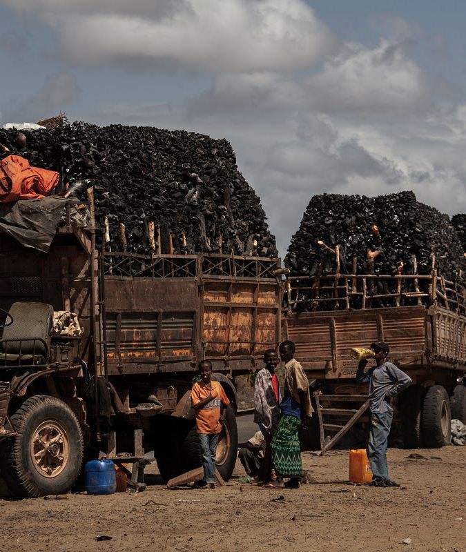 La Somalie, accro au charbon de bois