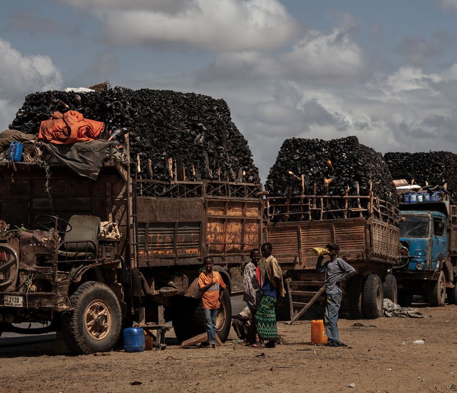 La Somalie, accro au charbon de bois