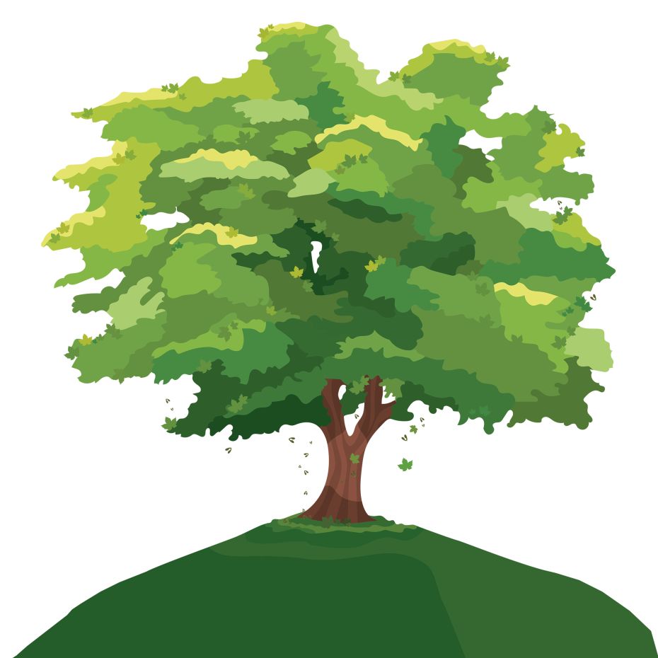 « L’arbre comme symbole de l’étranger »