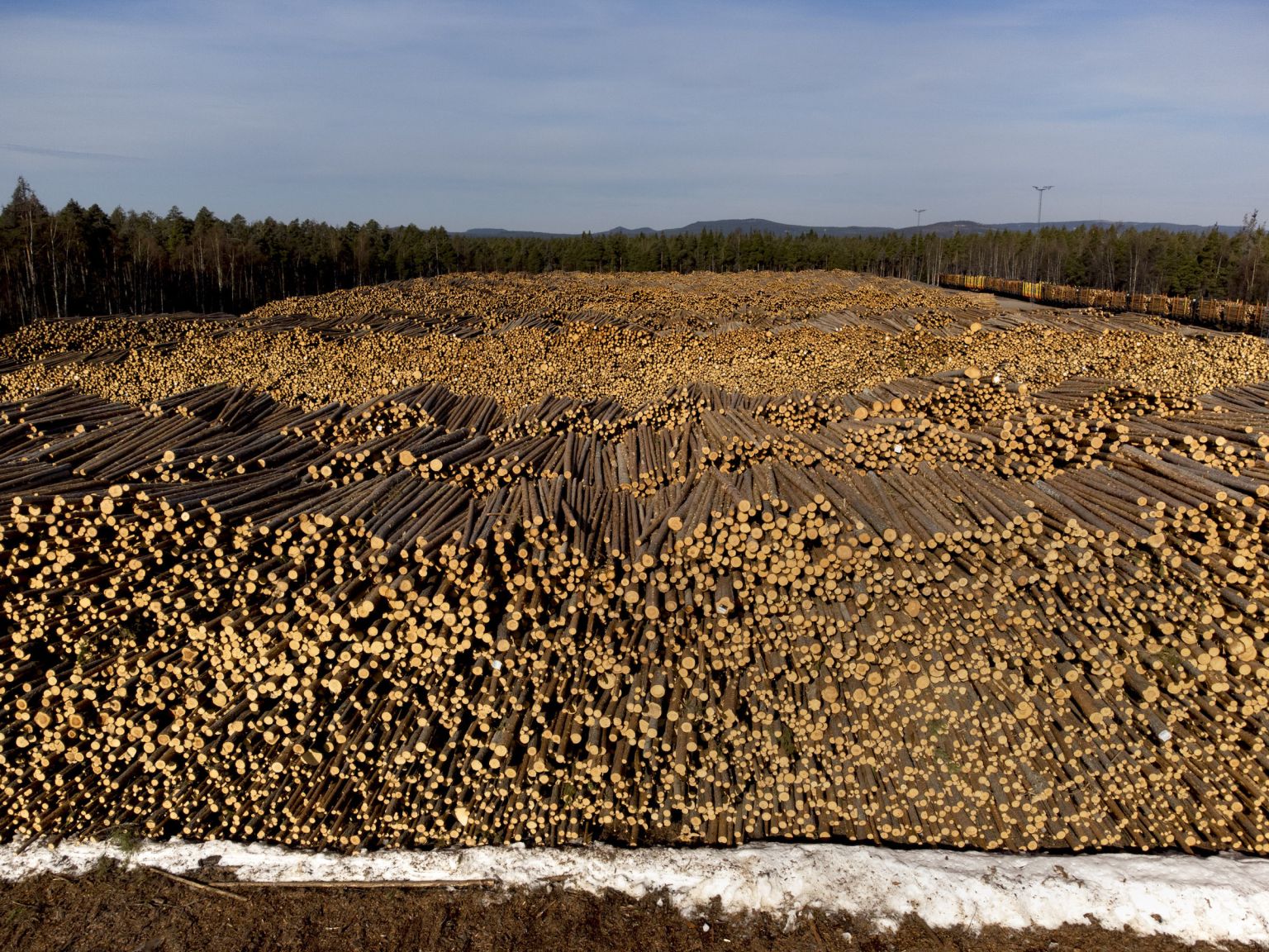 En Suède, déforestation n'est pas raison