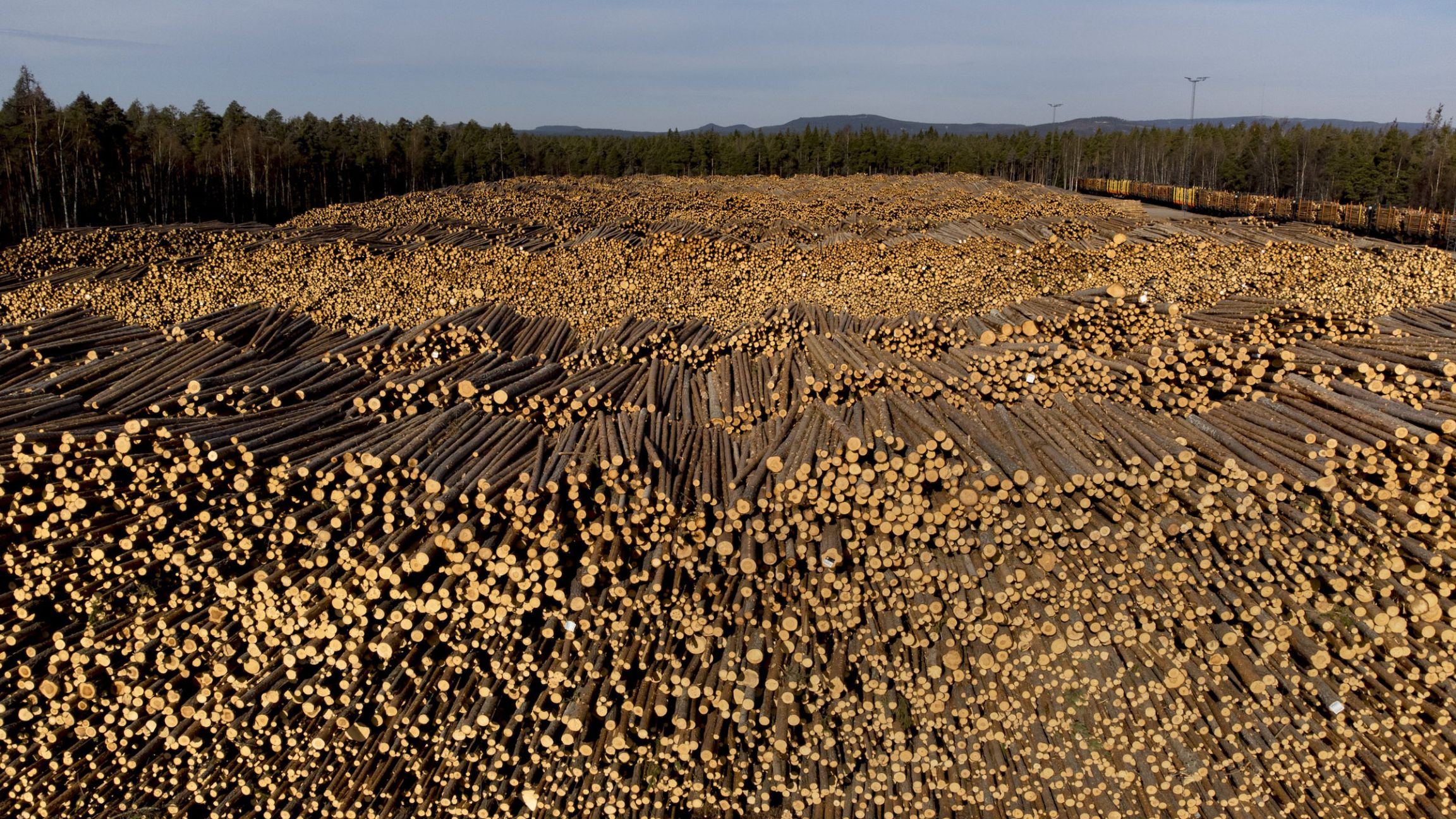 En Suède, déforestation n'est pas raison