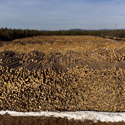 En Suède, déforestation n’est pas raison