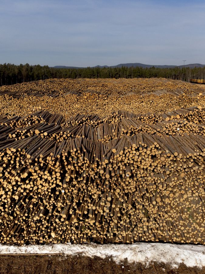 En Suède, déforestation n’est pas raison