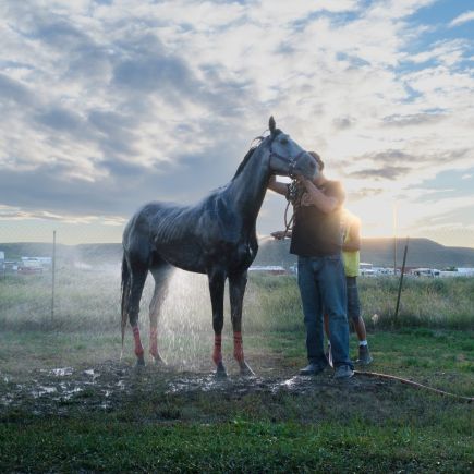 l&rsquo;&eacute;quipe lave un cheval apr&egrave;s un tournoi d&rsquo;indian relay