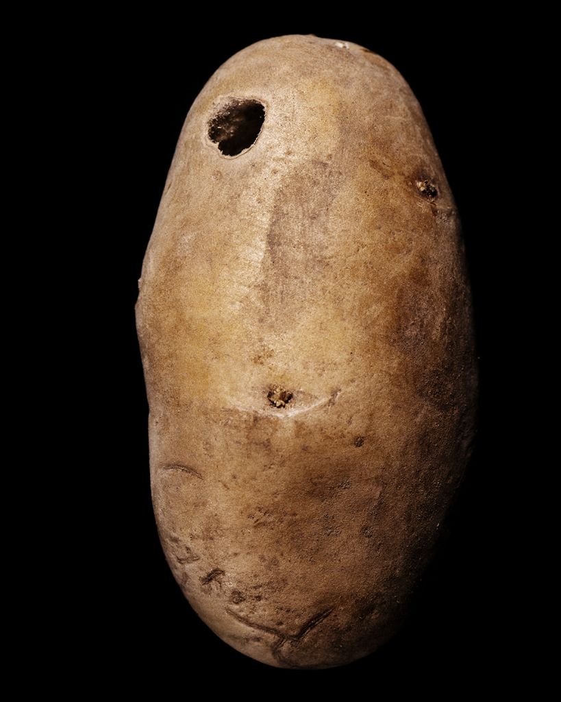 une pomme de terre