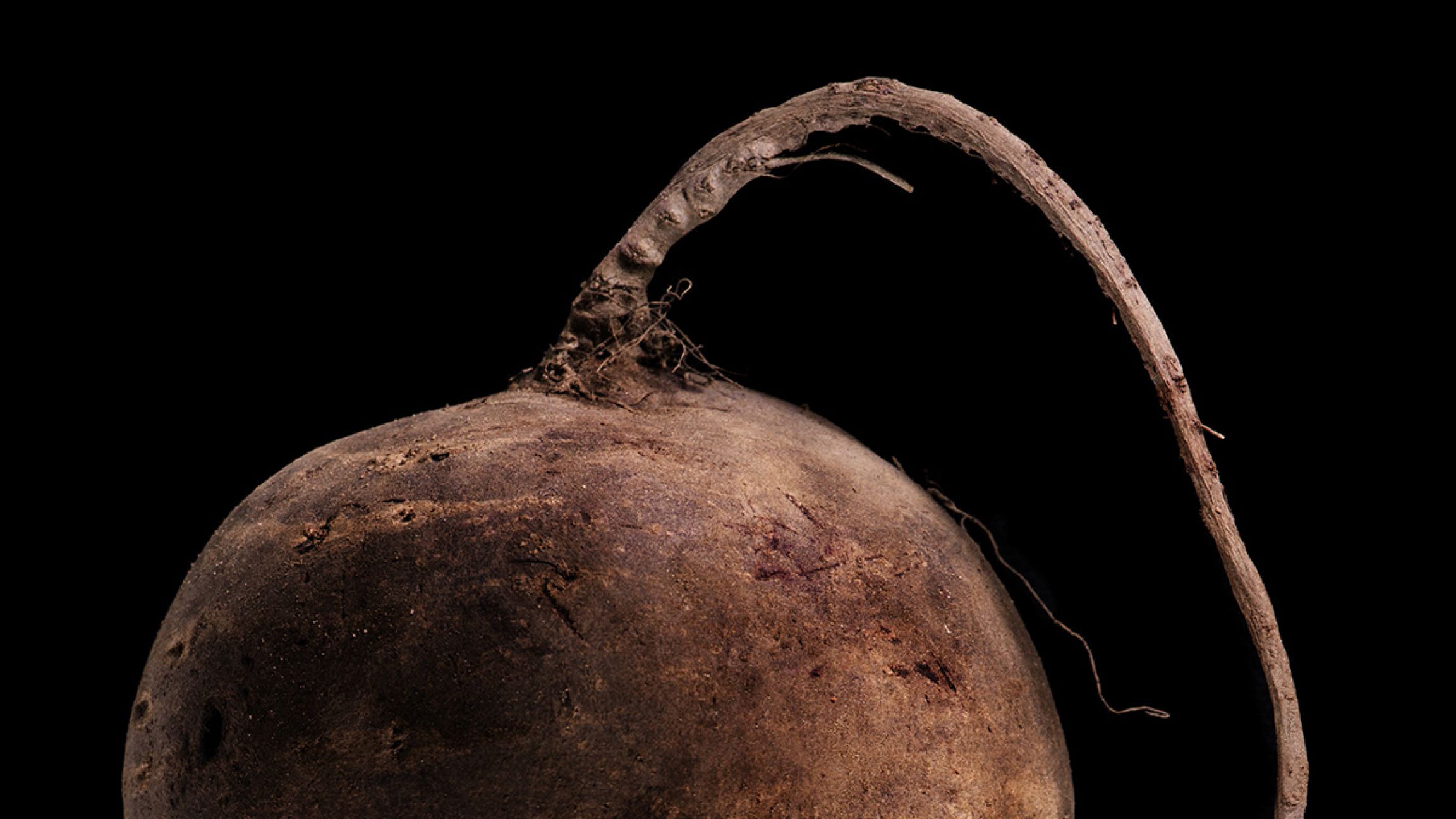 Une nouvelle Sécu pour « renverser la politique alimentaire et agricole »