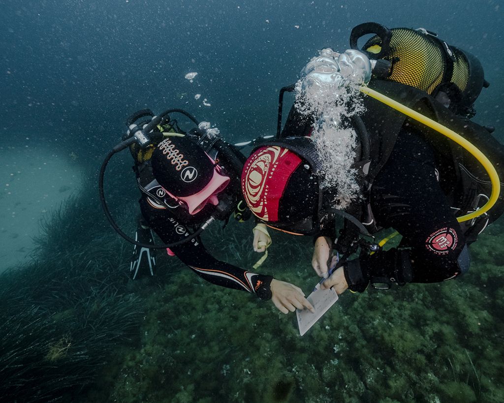 deux plongeurs sous l'eau