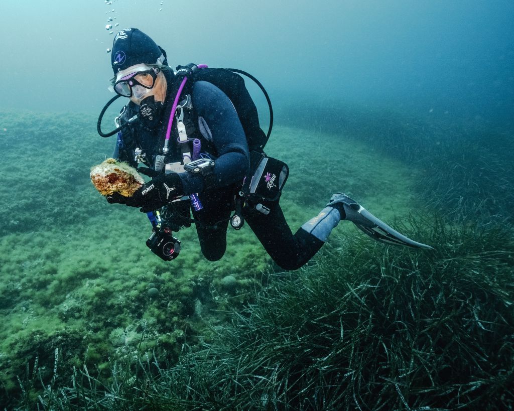 la plongeuse Sandrine Treyvaud examine un corail