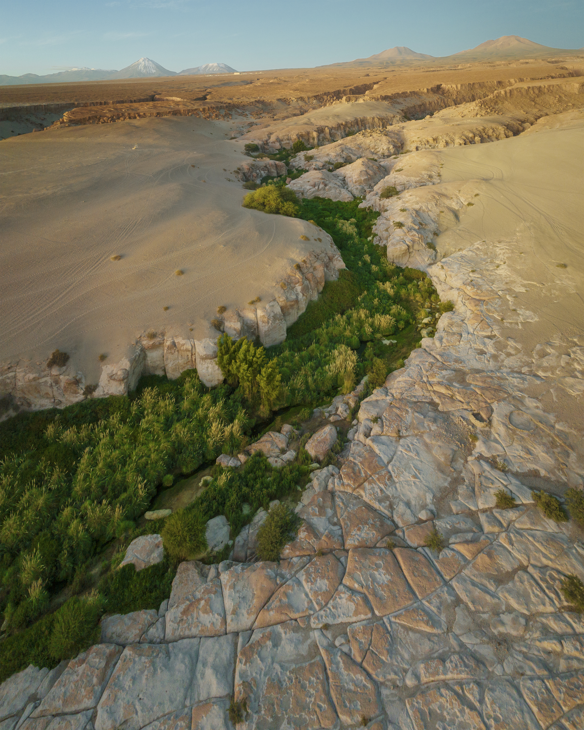 une oasis près d’une mine au Chili