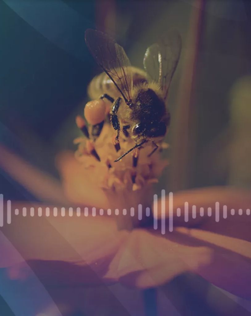 visuel du podcast “Pour que nature vive”