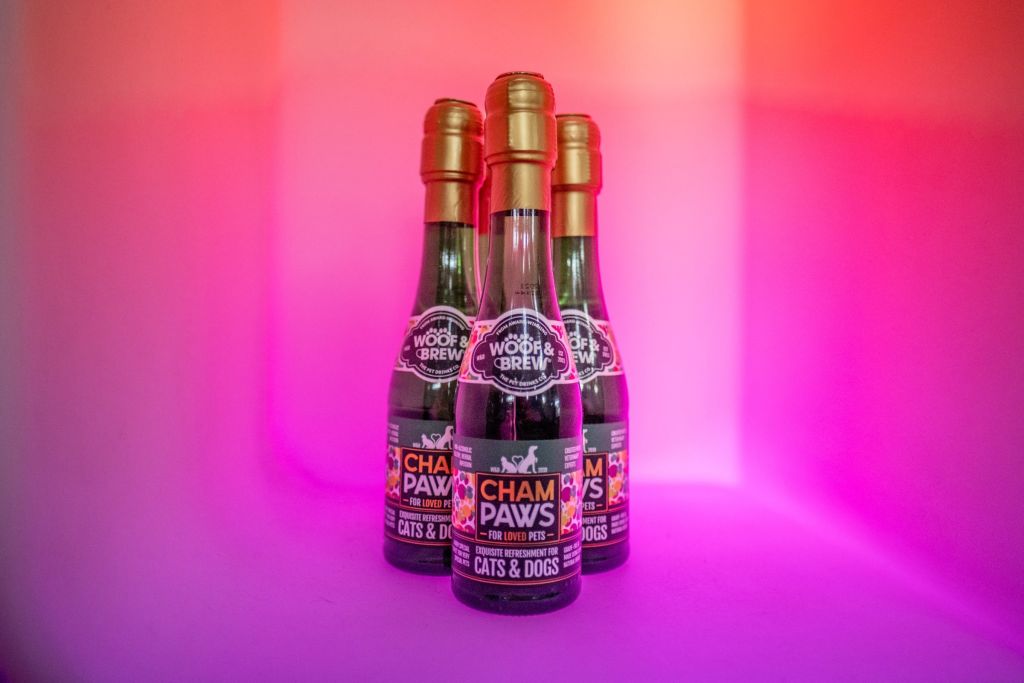 bouteilles de boisson pour chien et chat
