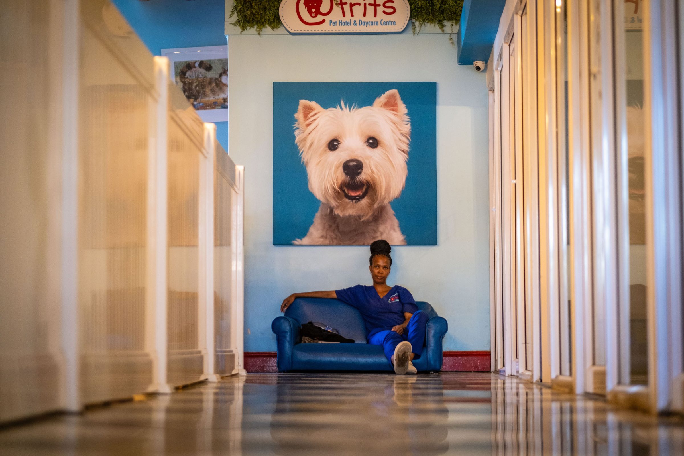 femme sur un canapé sous une photo géante de chien