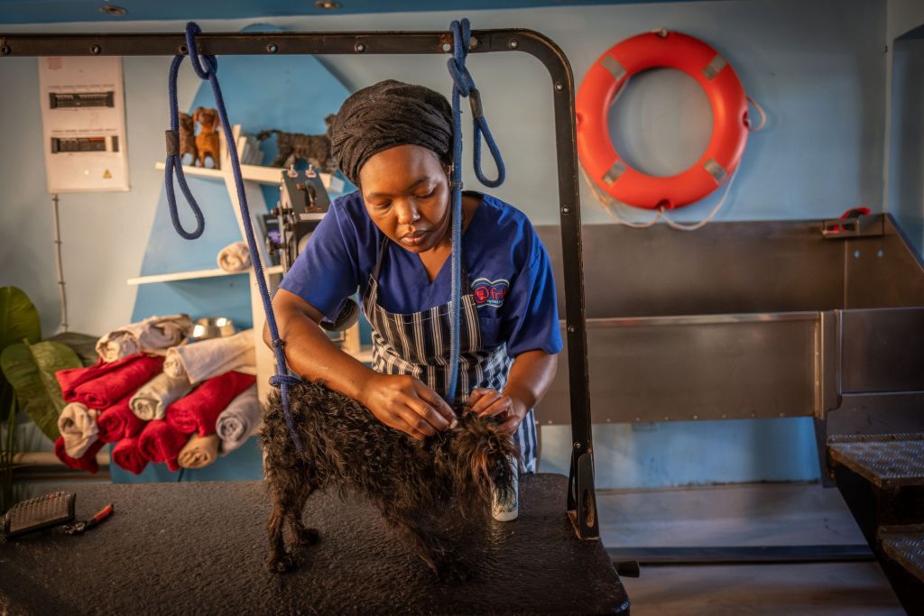 femme toilettant un petit chien