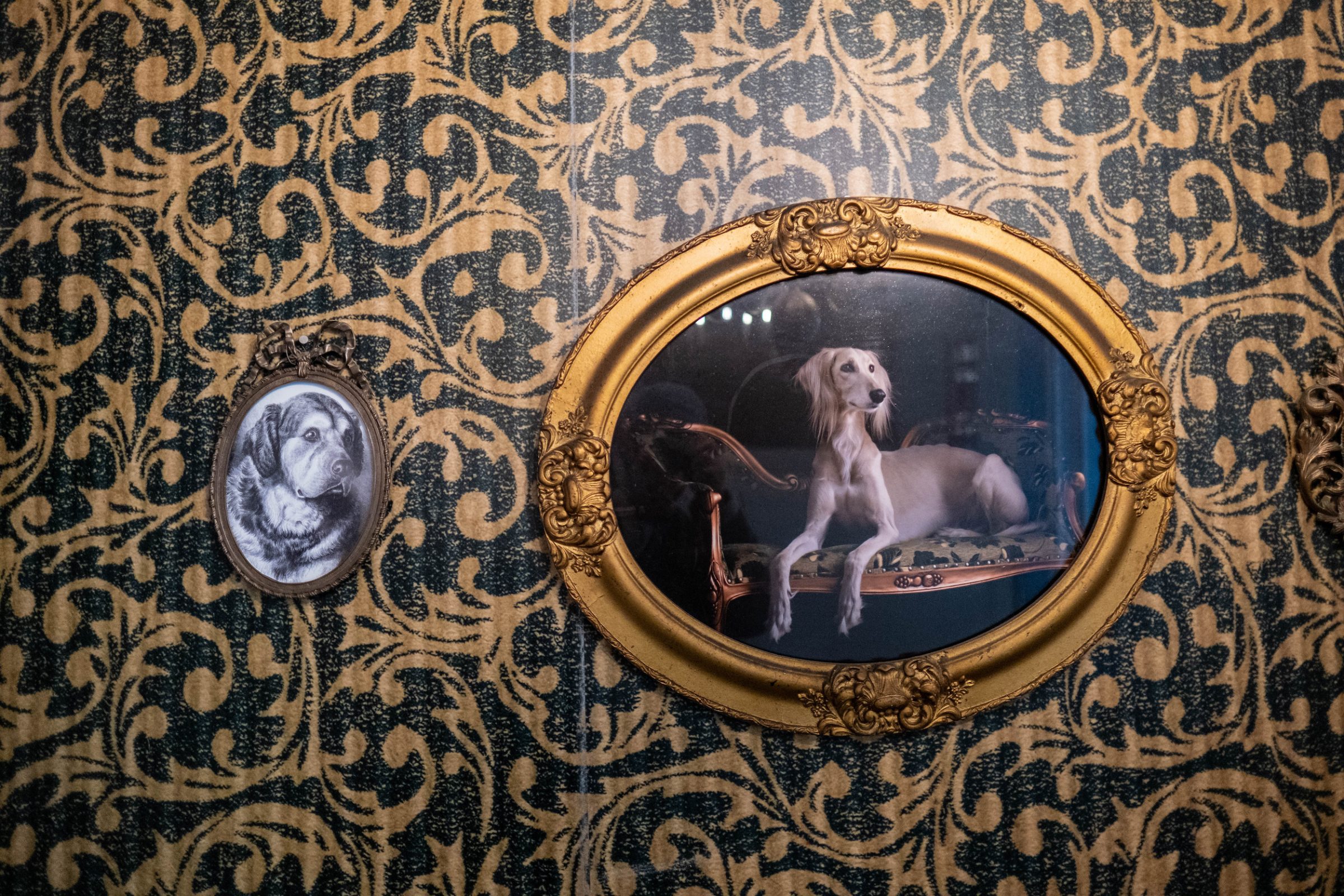 tableaux de chiens encadrés de dorures