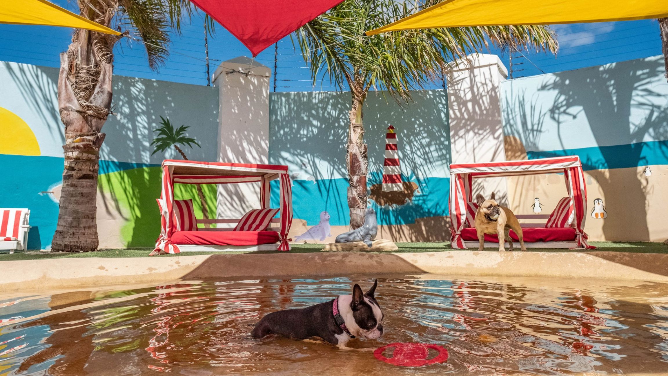 Luxe canin au pays des inégalités