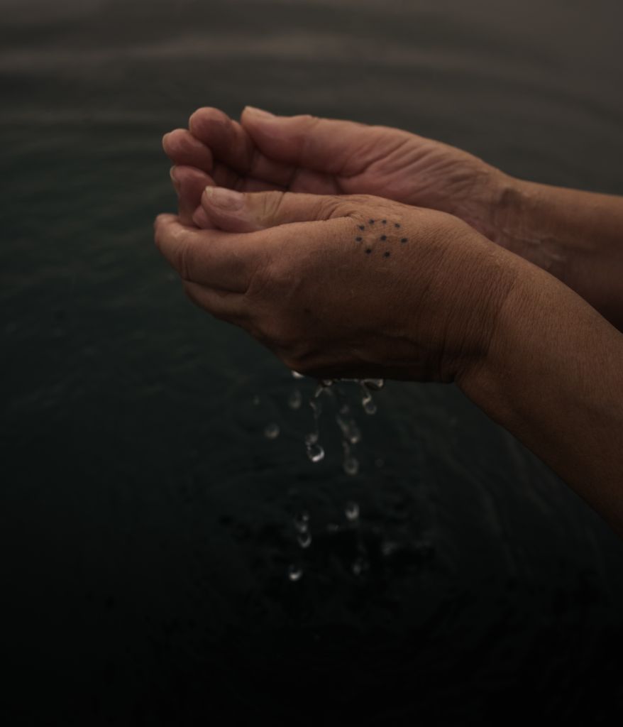 deux mains puisant de l'eau