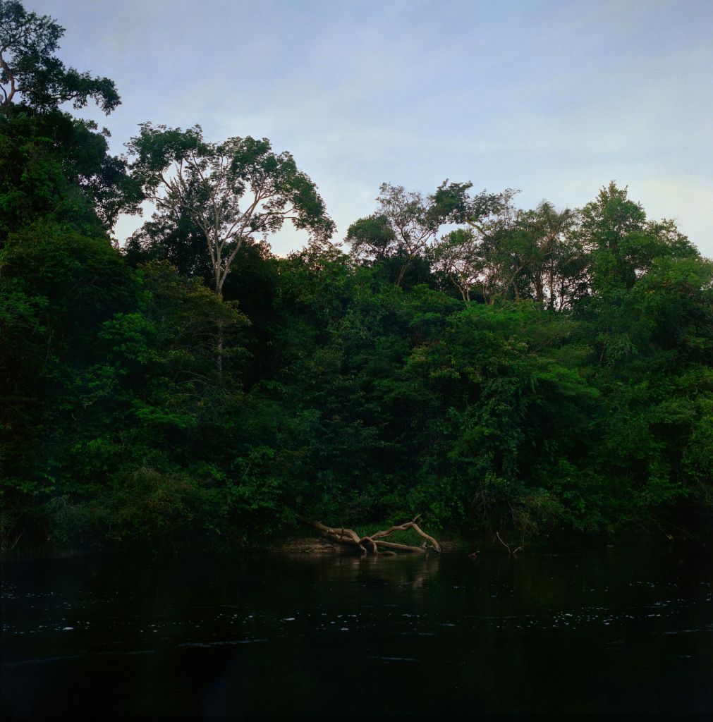 Une berge de d&rsquo;Amazonie