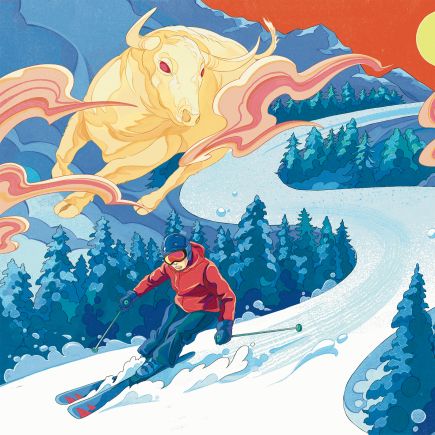 descente &agrave; ski et taureaux Red Bull