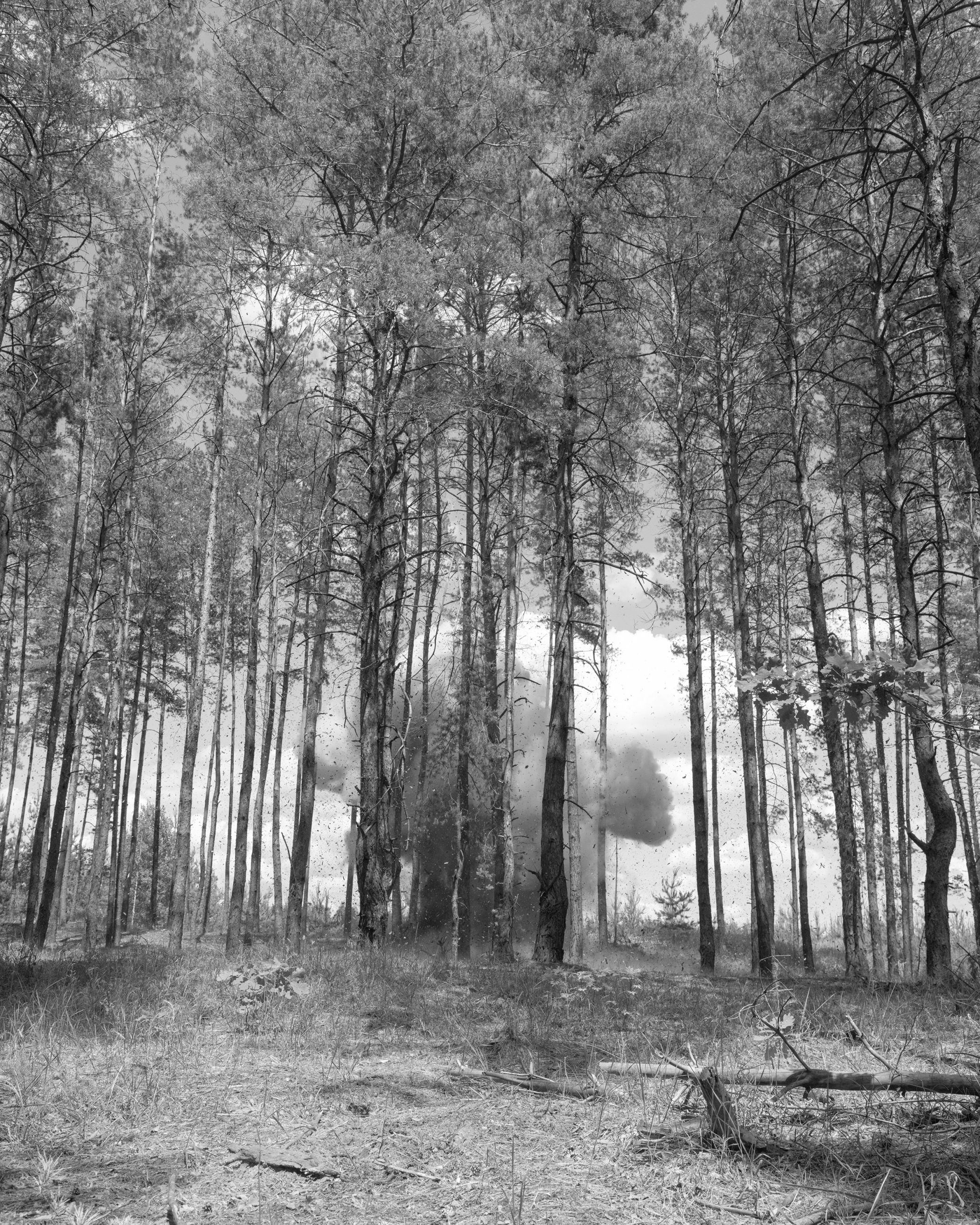 explosion de missile dans une for&ecirc;t