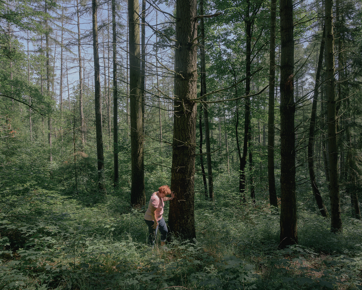Une femme touche un arbre dans une forêt