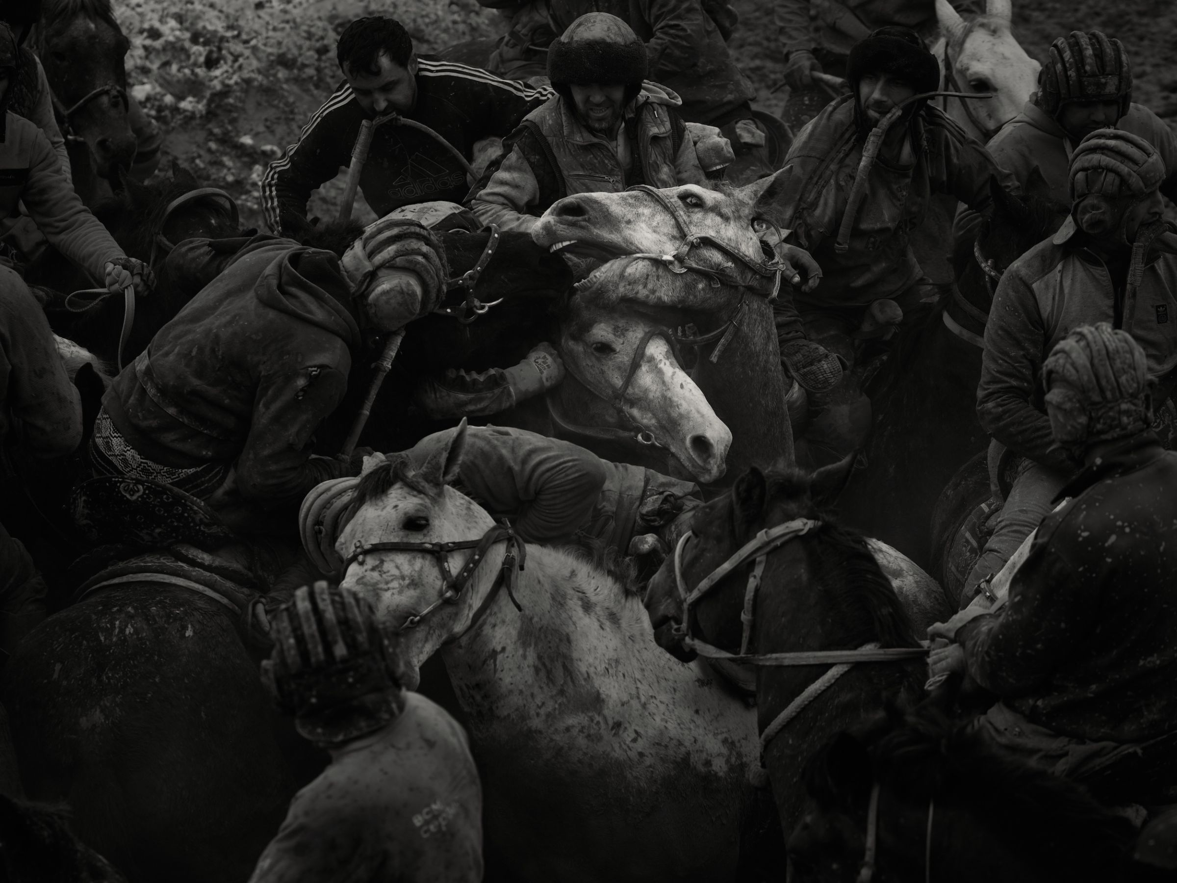 m&ecirc;l&eacute;e de chevaux et de cavaliers