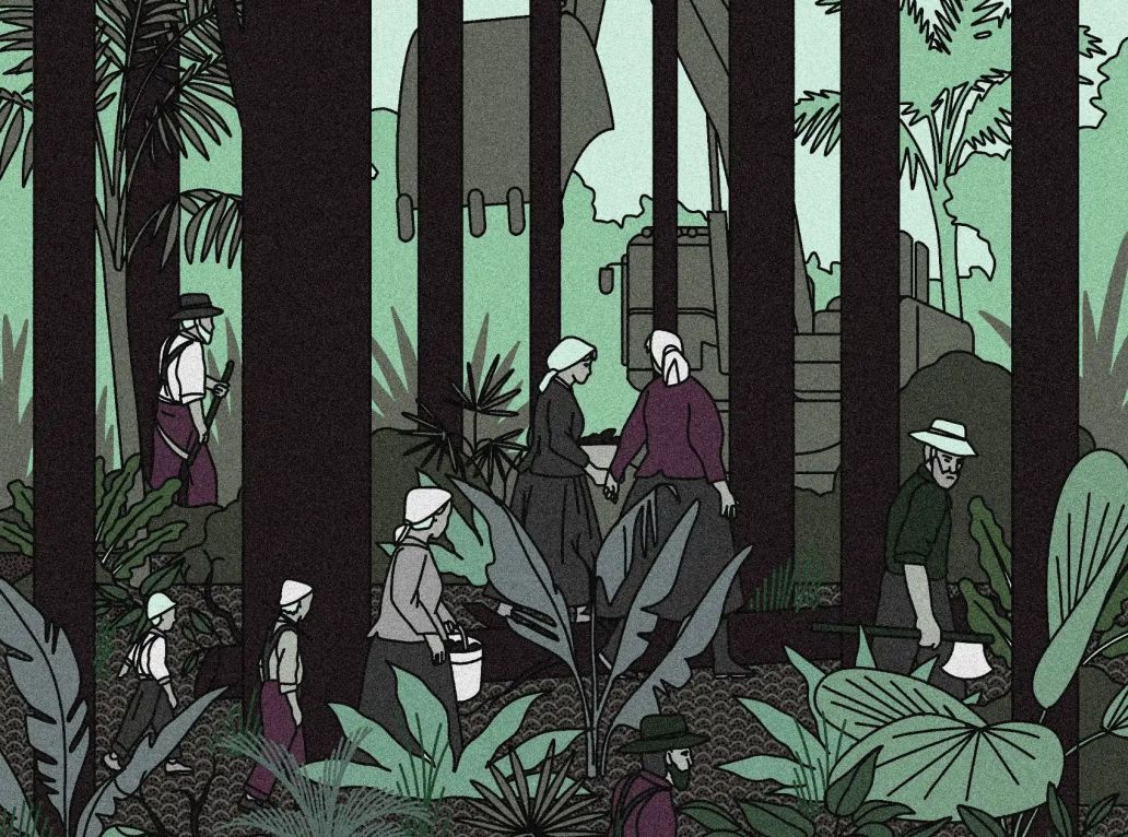 colons mennonites avec un bulldozer dans la forêt amazionienne