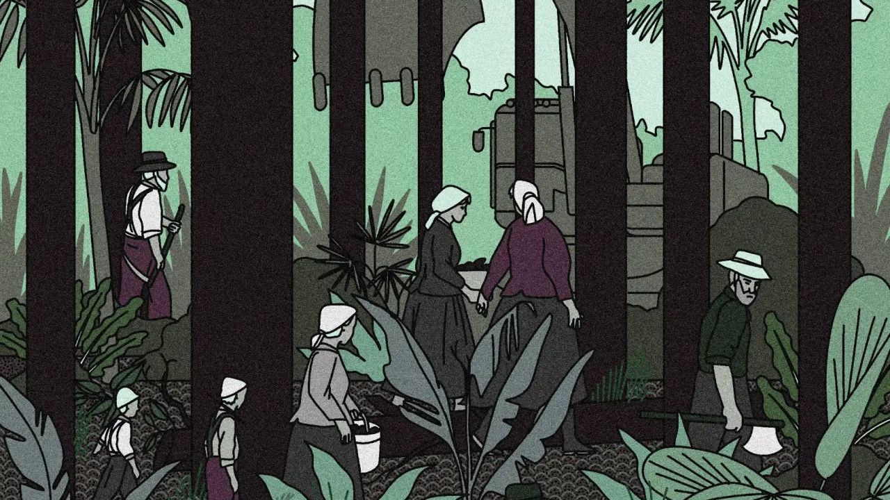 colons mennonites avec un bulldozer dans la forêt amazionienne