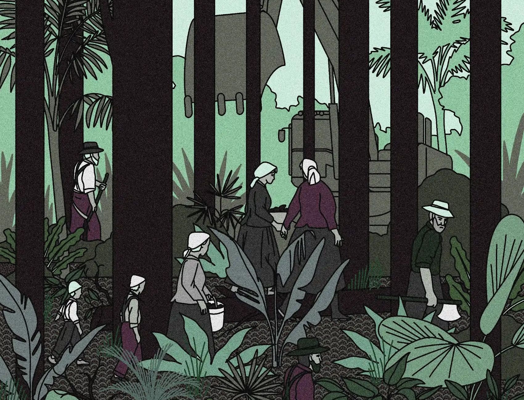 Les mennonites, fossoyeurs inconscients de la forêt amazonienne